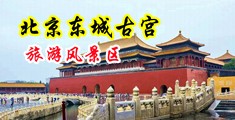 狂插淫荡少妇中国北京-东城古宫旅游风景区